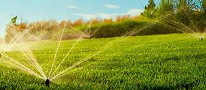 Система орошения в Алматы