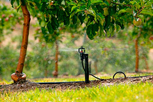 Системы автоматического полива Алматы