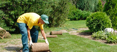 Укладка рулонного газона осенью: еще есть время!