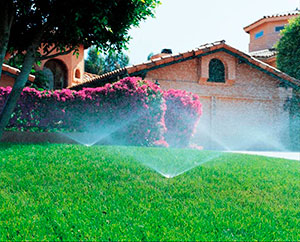 Автоматический полив в Алматы