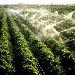 Автоматический полив в Алматы