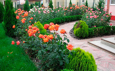 Идеи как улучшить качественный дизайн сада